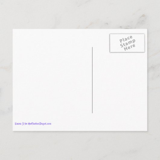 Drijvende blauwe grijze blanco Briefkaarten (Achterkant)