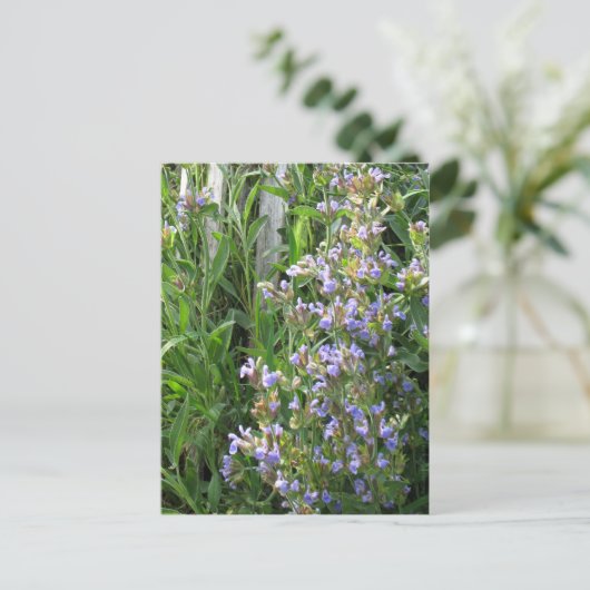 Drijvende blauwe grijze blanco Briefkaarten (Staand voorkant)