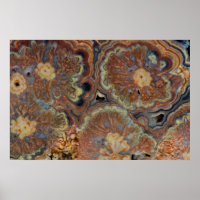 Drijvende buis Onyx