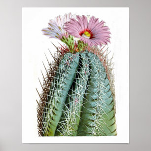 Drijvende cactus nr. 6  natuurlijke geschiedenis a poster