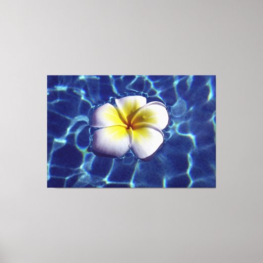 DRIJVENDE FRANGI 40x60 Canvas Afdruk (Voorkant)