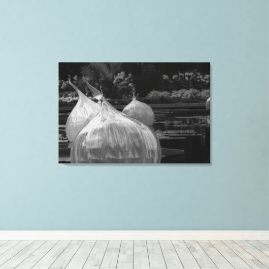 Drijvende glazen bollen canvas afdruk (Insitu (Houten vloer))