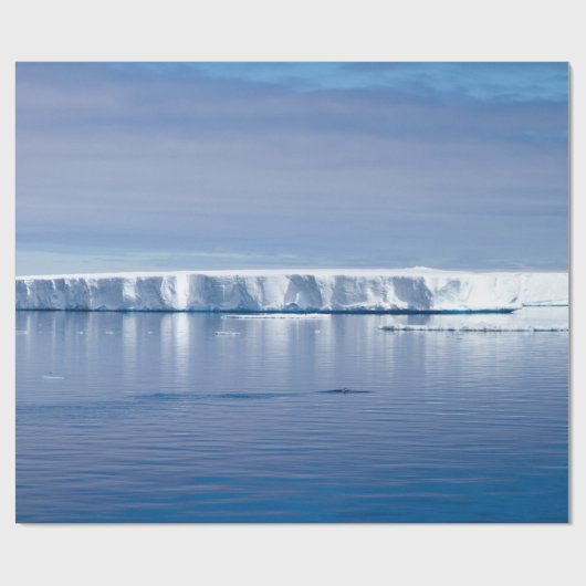 Drijvende ijsberg cadeaupapier (Vlak)