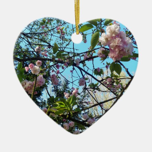 Drijvende kers, bloesem, Natuur, roze bloem Keramisch Ornament (Voorkant)