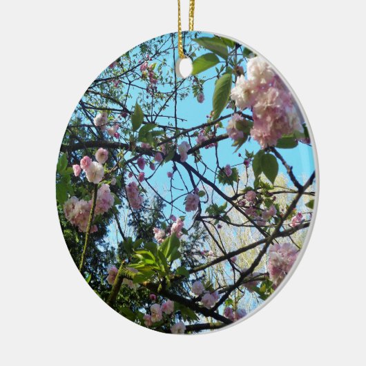 Drijvende kers, bloesem, Natuur, roze bloem Keramisch Ornament (Links)