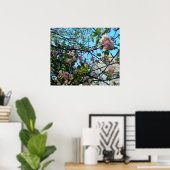Drijvende kers, Natuur, boom, bloesem, Poster (Thuiskantoor)