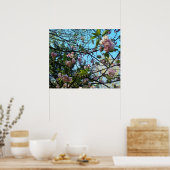 Drijvende kers, Natuur, boom, bloesem, Poster (Keuken)