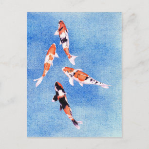Drijvende Koi blauw Briefkaart