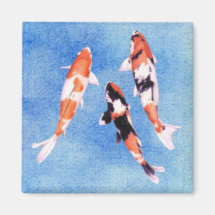 Drijvende Koi blue Magnet Magneet