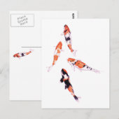 Drijvende Koi-Briefkaart Briefkaart (Voorkant / Achterkant)