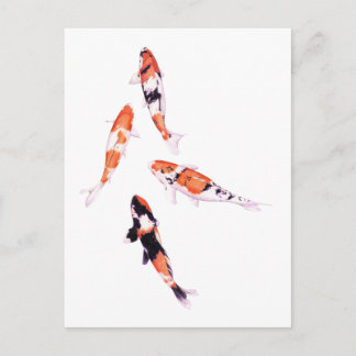 Drijvende Koi-Briefkaart Briefkaart