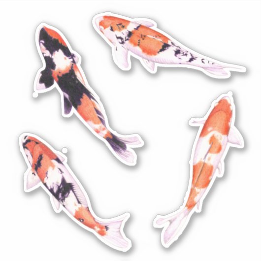 Drijvende Koi Custom-Cut Stickers (Voorkant)