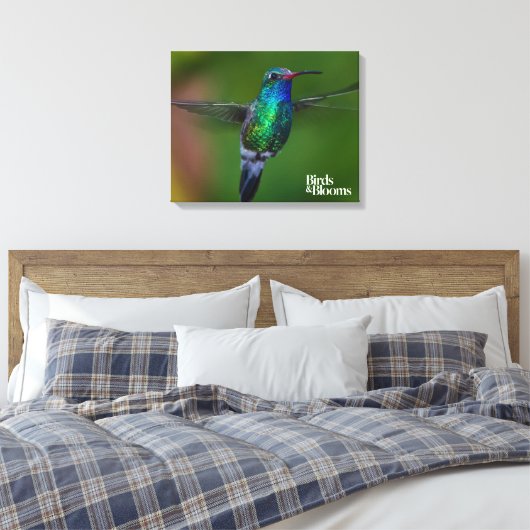 Drijvende kolibrie canvas afdruk (Insitu (Slaapkamer))