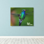 Drijvende kolibrie canvas afdruk (Insitu (Houten vloer))