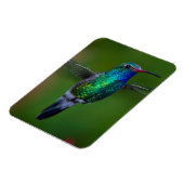 Drijvende kolibrie magneet (Linkerzijde)