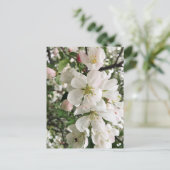 Drijvende krabappel briefkaart (Staand voorkant)