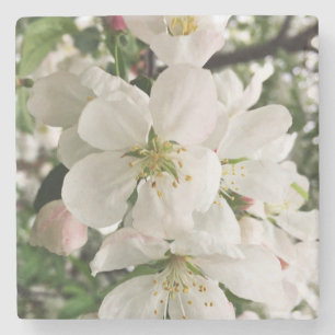 Drijvende krabappel stenen onderzetter