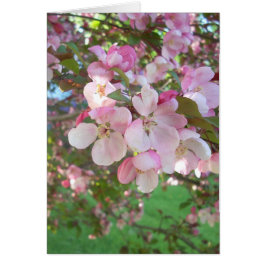 Drijvende krabbenappelbloesems