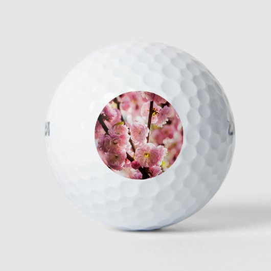 Drijvende kruimel - Roze paradize Golfballen (Voorkant)