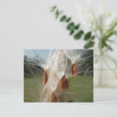 Drijvende Milkweed Seeds Art Print/Graphic Briefkaart (Staand voorkant)