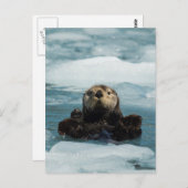 Drijvende otter briefkaart (Voorkant / Achterkant)