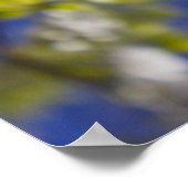 Drijvende perenboom poster (Hoek)