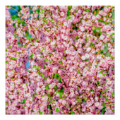 Drijvende pruimen perfect poster (Voorkant)