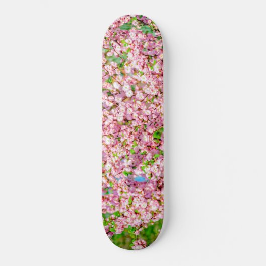 Drijvende pruimen skateboard (Voorkant)