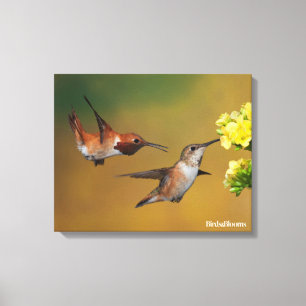 Drijvende roofvogel canvas afdruk