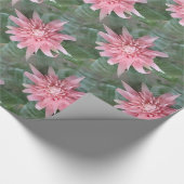 Drijvende roze romeliad Gift Wrap Cadeaupapier (Hoek)