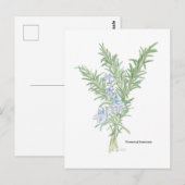 Drijvende rozemarijn briefkaart (Voorkant / Achterkant)