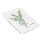 Drijvende rozemarijn magneet (Rechterzijde)