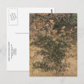 Drijvende struiken, Vincent van Gogh Briefkaart (Voorkant / Achterkant)