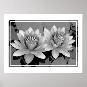 Drijvende Waterlelie Lotus Poster