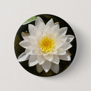 Drijvende Witte Waterlelie Lotus Ronde Button 5,7 Cm
