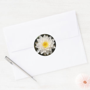 Drijvende Witte Waterlelie Lotus Ronde Sticker