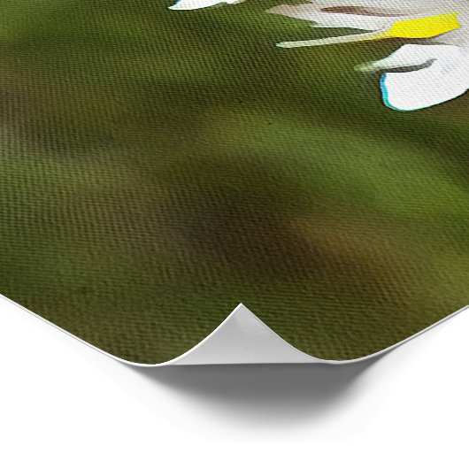 Drimia Maritima of Island Union Art Poster (Hoek)