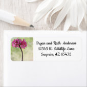 Dringend roos in roze etiket (Insitu)