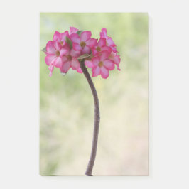 Dringend roos in roze post-it® notes