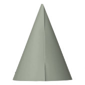 Dringend staal Solid Color Feesthoedjes (Achterkant)