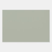 Dringend staal Solid Color Inpakpapier Vel (Voorkant 2)