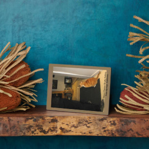 Dringende Painter Studio Gallery in Palm Springs,  Fotoplaat