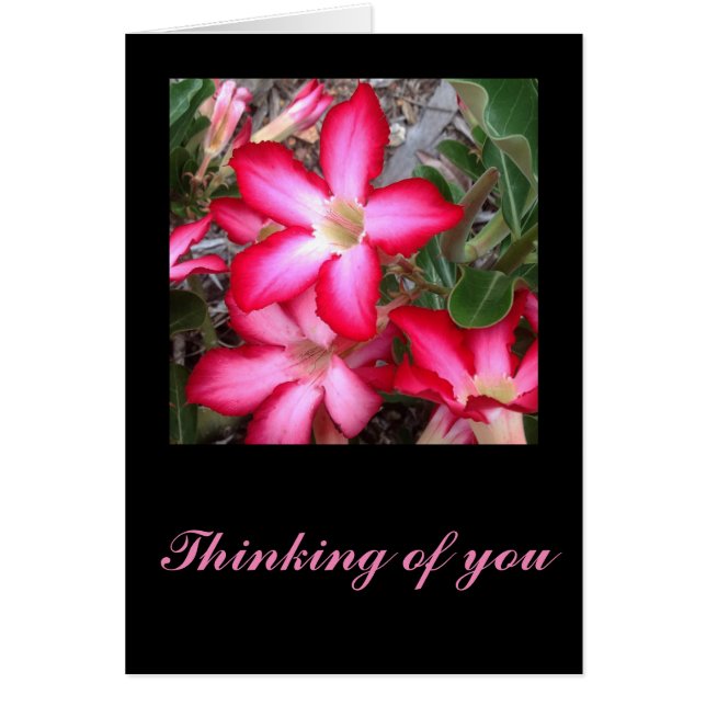 Dringende rosereetkaart (Voorkant)