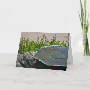 Drink bijen, Phoenix, Arizona Kaart