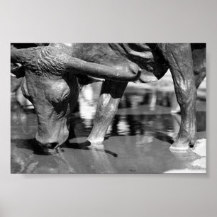 Drink Longhorn Poster