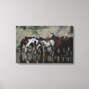 Drink verfpaarden canvas afdruk