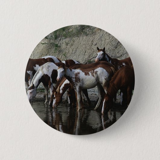 Drink verfpaarden ronde button 5,7 cm (Voorkant)