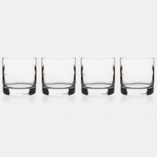 Drinkware Set Whisky Glas