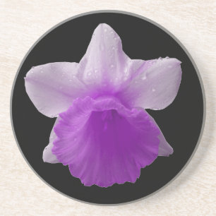 Dripping Daffodil Paarse Coasters Zandsteen Onderzetter