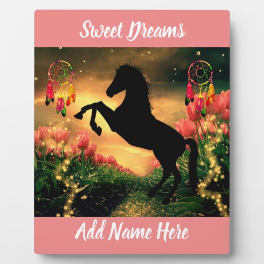 Drocatcher Fotoplaat (Voorkant)